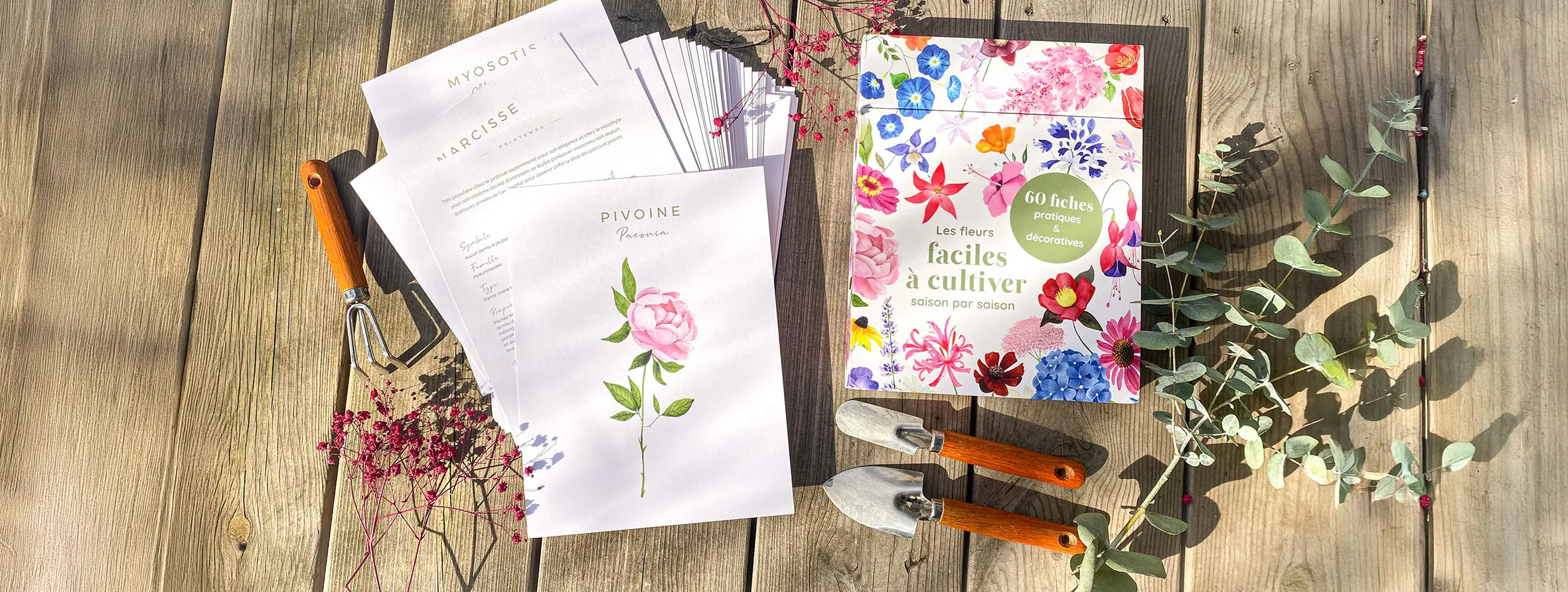 Coffret de 60 fiches pratiques et décoratives sur les fleurs faciles à cultiver, saison par saison. Illustration à l'aquarelle au recto, infos pratiques au verso.