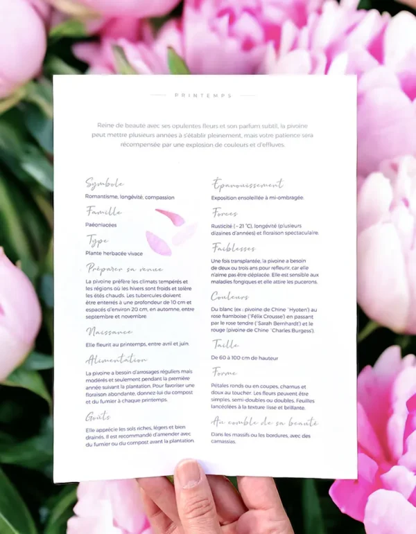 Fiche pratique sur la pivoine