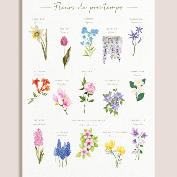 Affiche botanique des fleurs de printemps à l’aquarelle sur fond blanc texturé