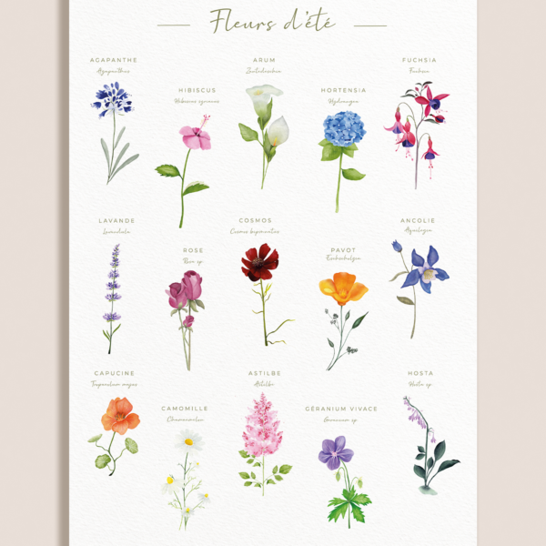 Affiche botanique des fleurs d’été à l’aquarelle sur fond blanc texturé