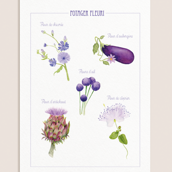 Affiche Potager fleuri, légumes et fleurs à l’aquarelle sur fond rose