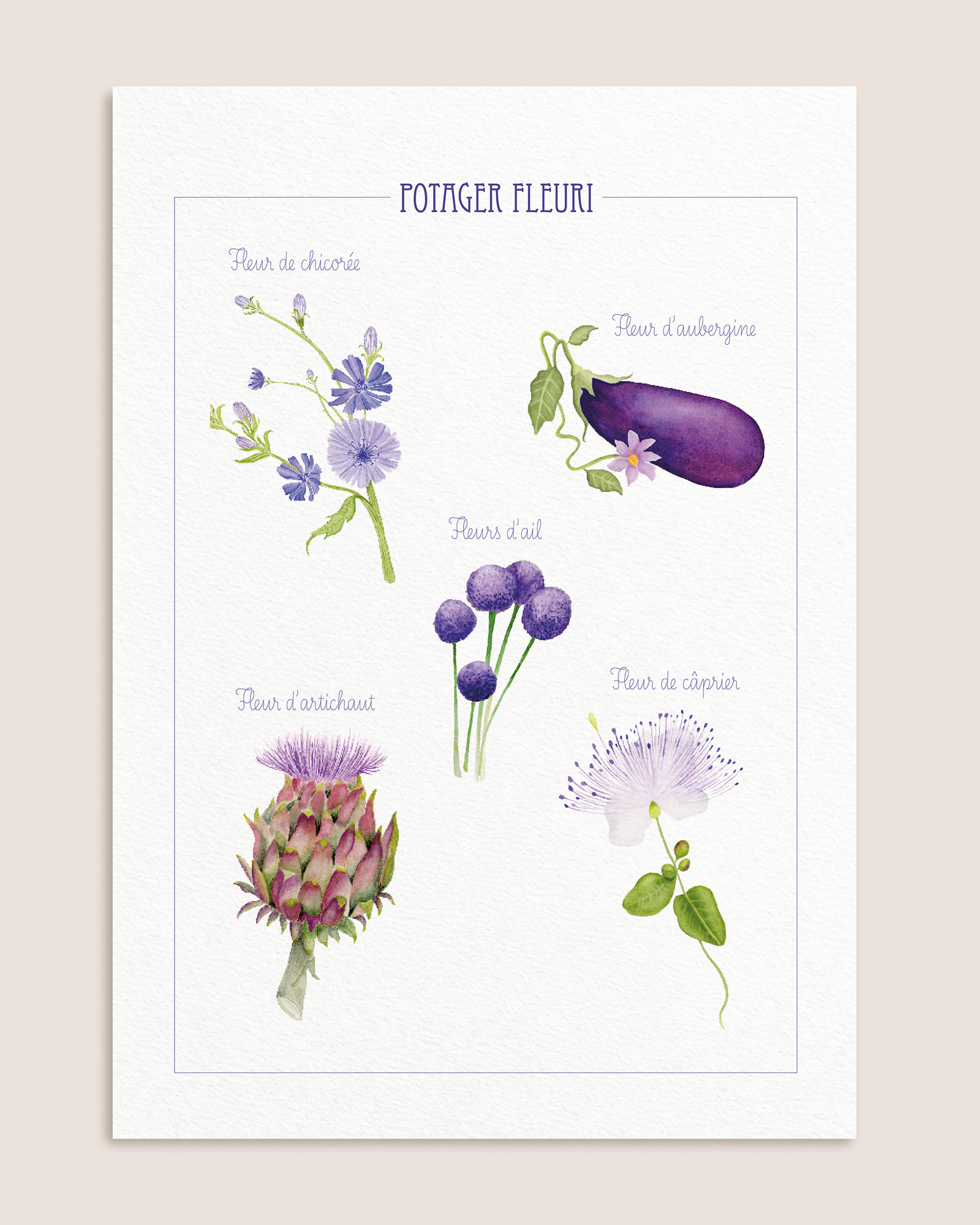 Affiche Potager fleuri, légumes et fleurs à l’aquarelle sur fond rose