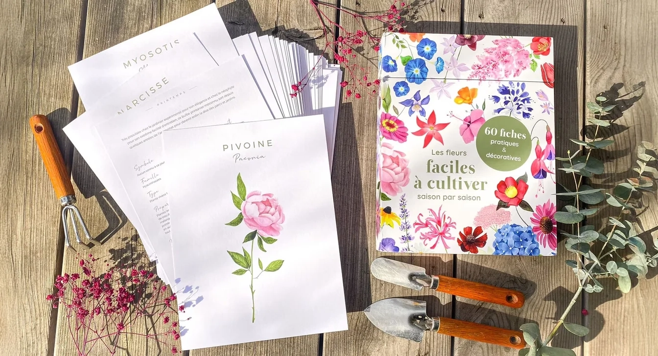 Coffret Fleuri, 60 fiches illustrées autour des fleurs, idée cadeau pour une passionnée de fleurs.
