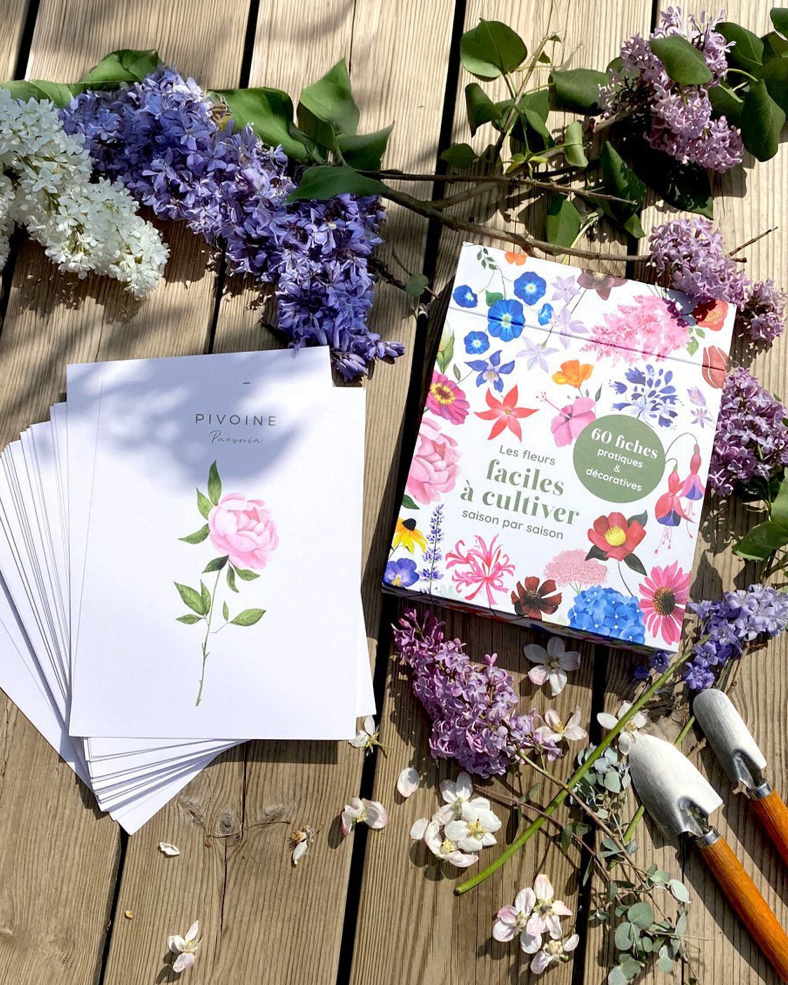Coffret fleuri et fiches botaniques illustrées à l’aquarelle, entourés de fleurs fraîches sur une terrasse en bois.
