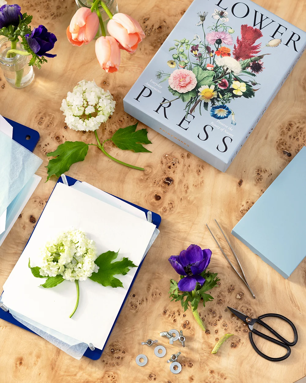 Presse-fleurs Printworks pour conserver des fleurs et constituer un herbier.